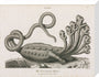 'The Seven-headed Hydra', 1806. stretched canvas medium none Art Print - Science Museum Shop