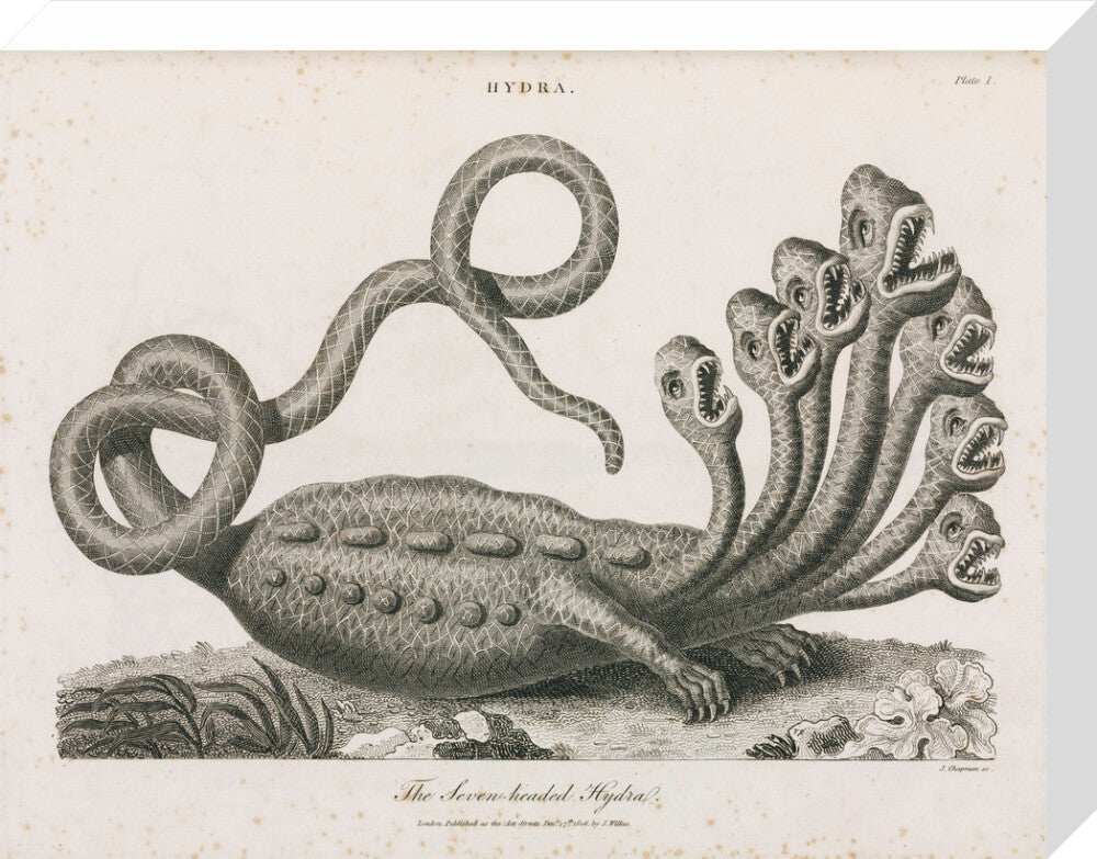 'The Seven-headed Hydra', 1806. stretched canvas medium none Art Print - Science Museum Shop