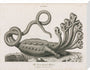 'The Seven-headed Hydra', 1806. stretched canvas large none Art Print - Science Museum Shop