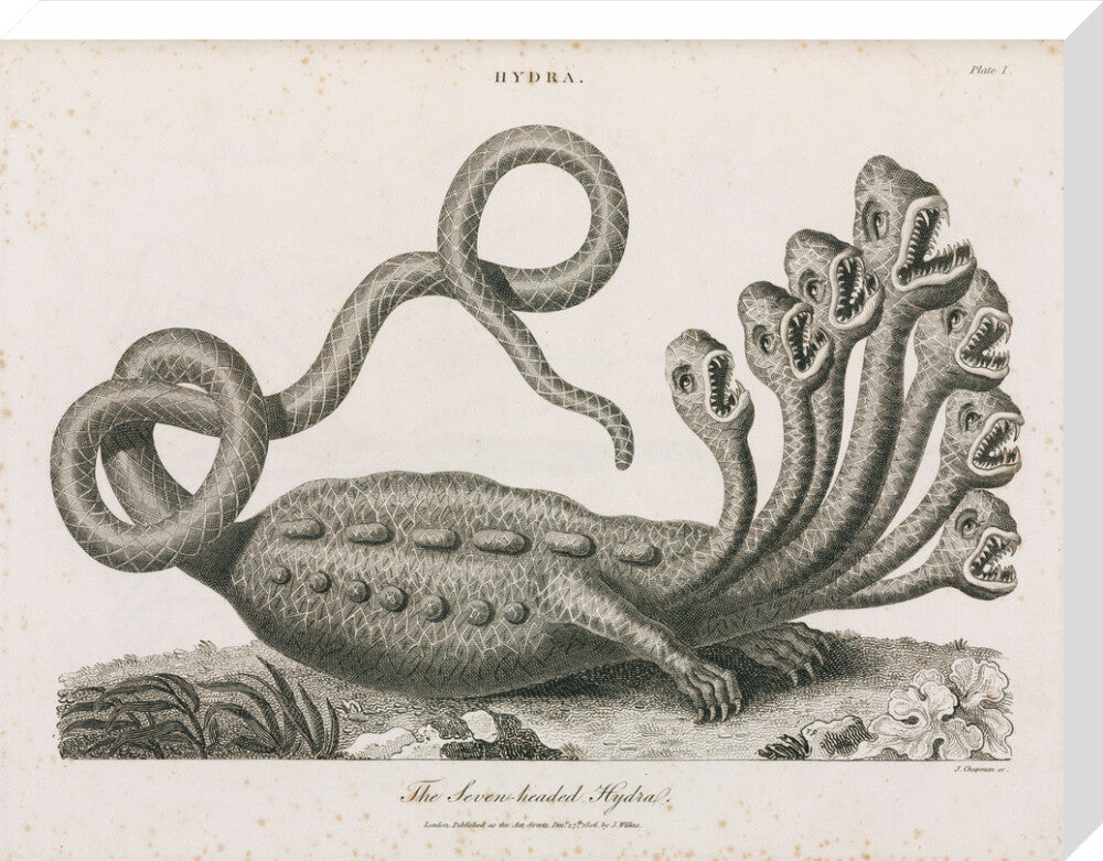 'The Seven-headed Hydra', 1806. stretched canvas large none Art Print - Science Museum Shop