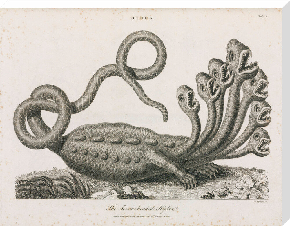'The Seven-headed Hydra', 1806. stretched canvas extra large none Art Print - Science Museum Shop
