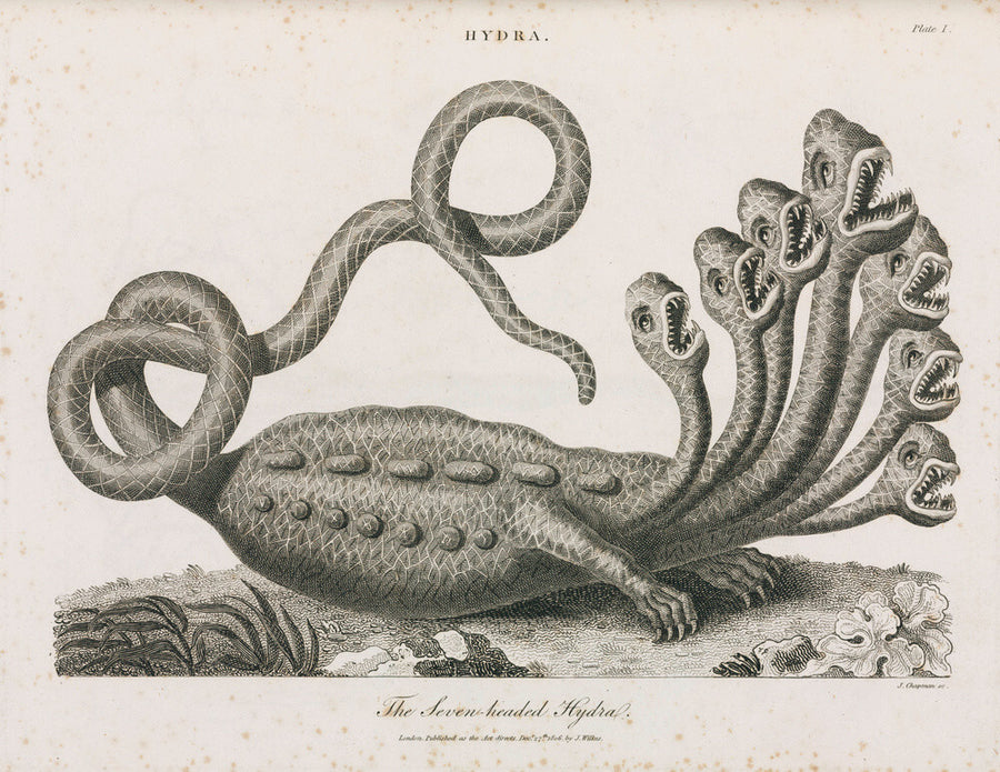 'The Seven-headed Hydra', 1806. Art Print - Science Museum Shop