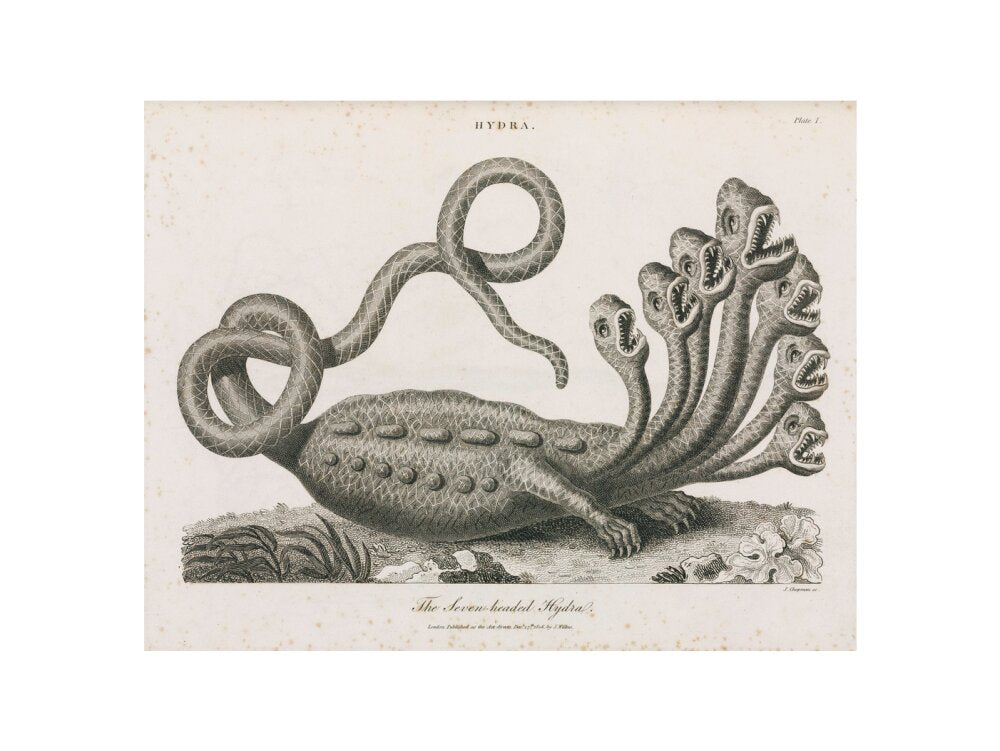 'The Seven-headed Hydra', 1806. art print extra large none Art Print - Science Museum Shop