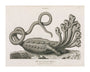 'The Seven-headed Hydra', 1806. unstretched canvas extra large none Art Print - Science Museum Shop
