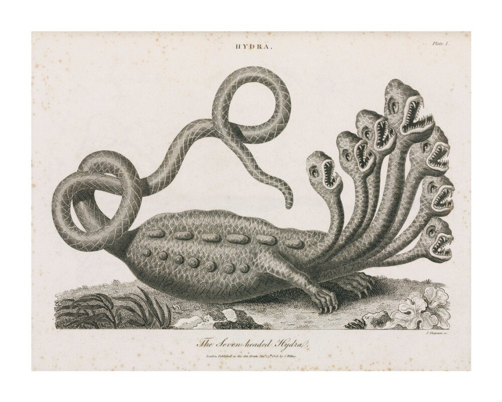 'The Seven-headed Hydra', 1806. unstretched canvas extra large none Art Print - Science Museum Shop