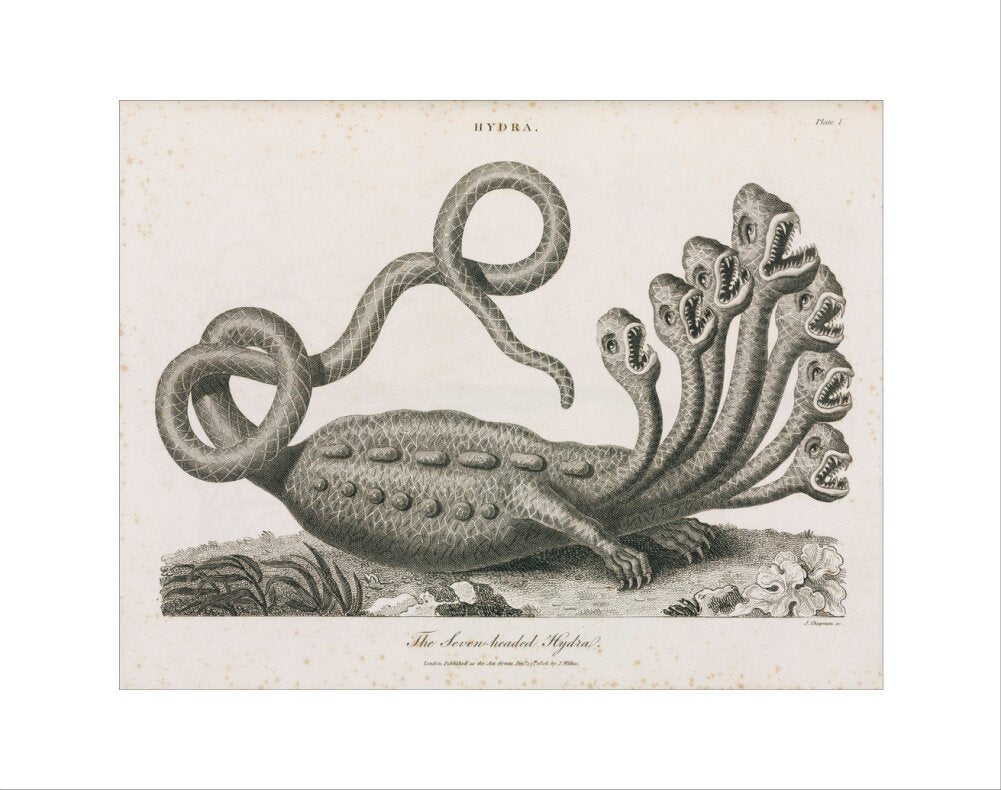 'The Seven-headed Hydra', 1806. art print extra small none Art Print - Science Museum Shop