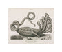 'The Seven-headed Hydra', 1806. unstretched canvas small none Art Print - Science Museum Shop