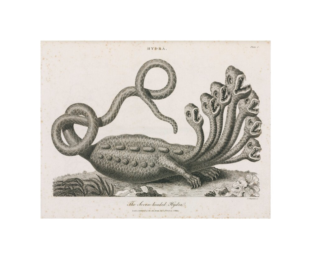 'The Seven-headed Hydra', 1806. unstretched canvas small none Art Print - Science Museum Shop