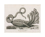 'The Seven-headed Hydra', 1806. unstretched canvas medium none Art Print - Science Museum Shop