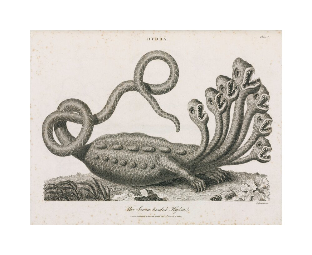 'The Seven-headed Hydra', 1806. unstretched canvas medium none Art Print - Science Museum Shop