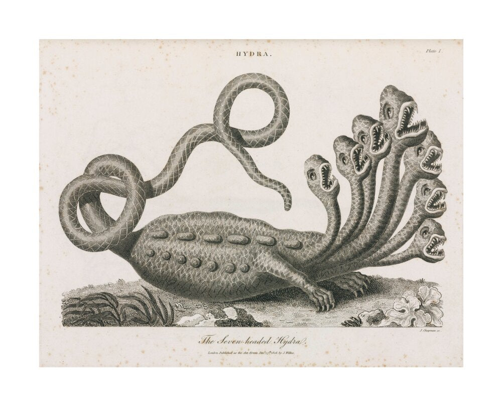 'The Seven-headed Hydra', 1806. unstretched canvas large none Art Print - Science Museum Shop
