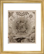 Earth-Water-Air, 1689. art print extra small gold Art Print - Science Museum Shop