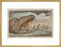 Sea monster devouring a fleet of ships, 1811. art print large gold Art Print - Science Museum Shop