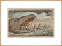 Sea monster devouring a fleet of ships, 1811. art print large natural Art Print - Science Museum Shop