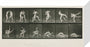 Time-lapse photographs of two men wrestling, 1872-1885. stretched canvas small none Art Print - Science Museum Shop