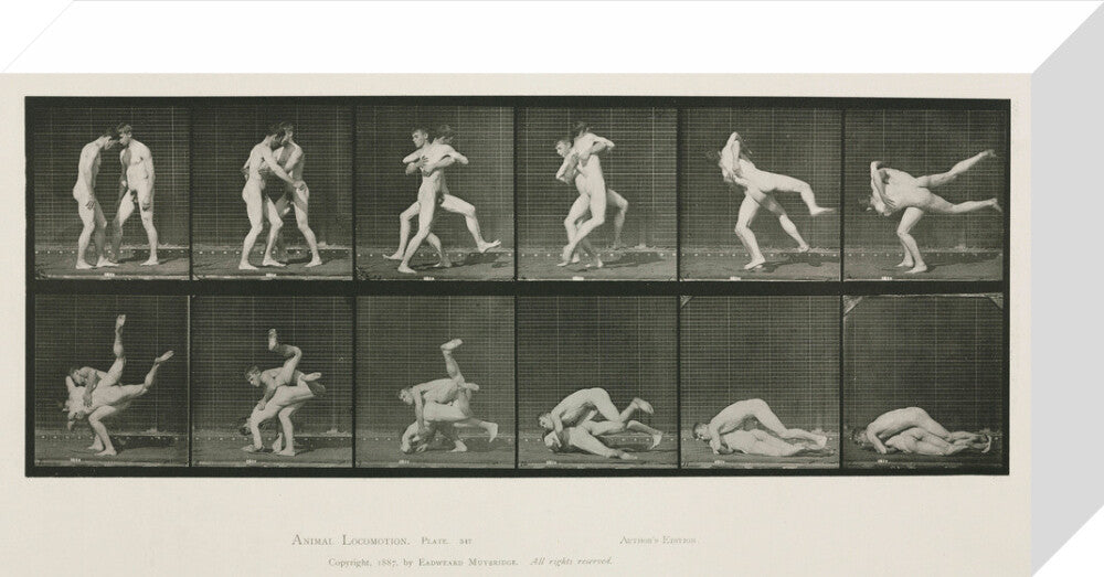 Time-lapse photographs of two men wrestling, 1872-1885. stretched canvas small none Art Print - Science Museum Shop