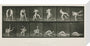 Time-lapse photographs of two men wrestling, 1872-1885. stretched canvas medium none Art Print - Science Museum Shop