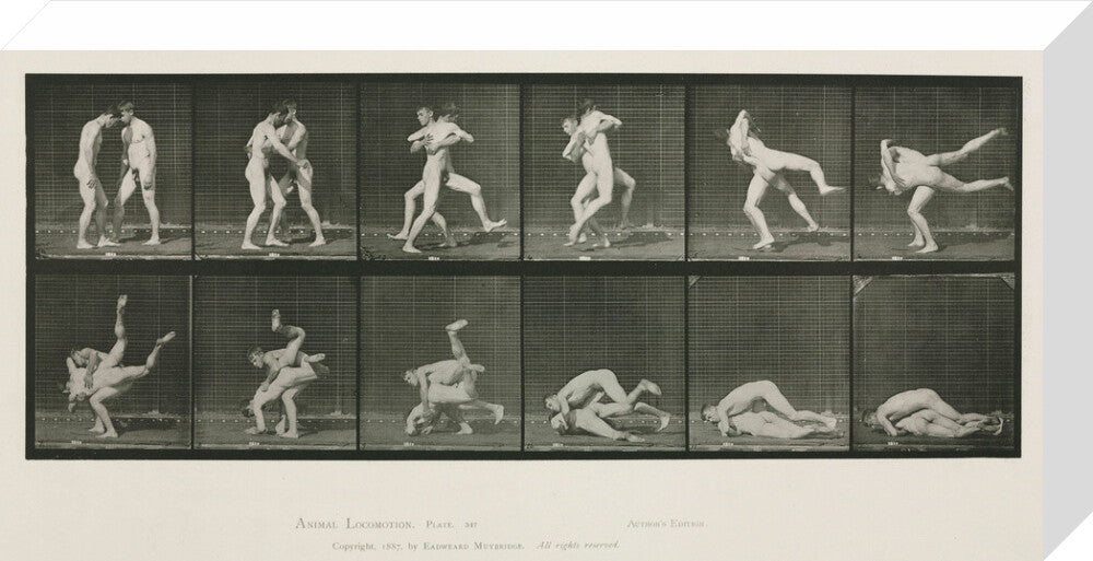 Time-lapse photographs of two men wrestling, 1872-1885. stretched canvas medium none Art Print - Science Museum Shop