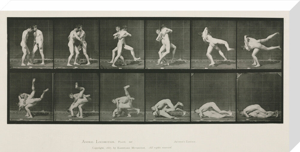 Time-lapse photographs of two men wrestling, 1872-1885. stretched canvas large none Art Print - Science Museum Shop