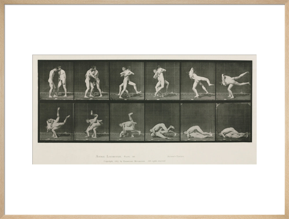 Time-lapse photographs of two men wrestling, 1872-1885. art print extra large natural Art Print - Science Museum Shop