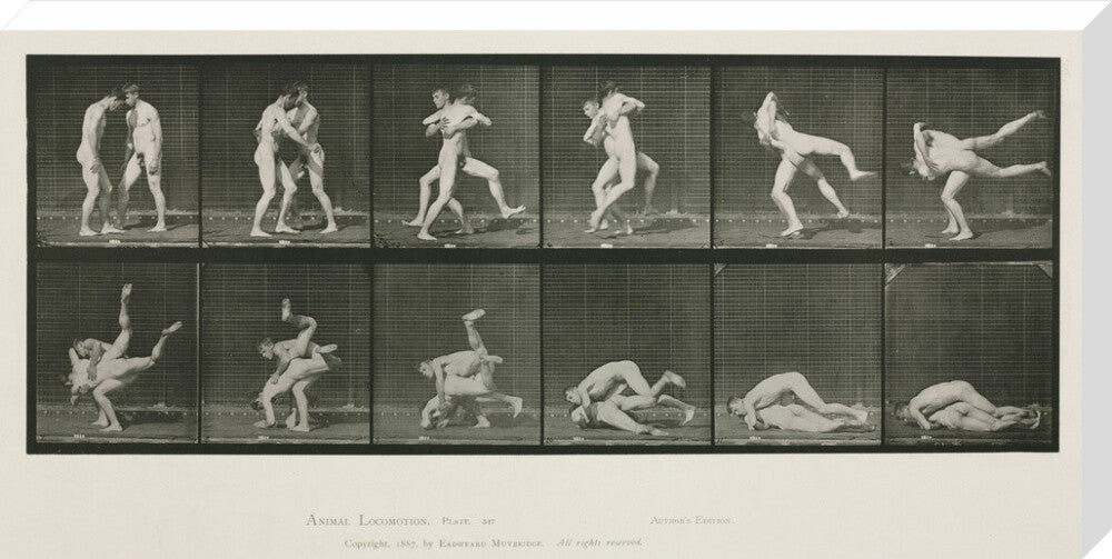 Time-lapse photographs of two men wrestling, 1872-1885. stretched canvas extra large none Art Print - Science Museum Shop