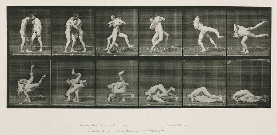 Time-lapse photographs of two men wrestling, 1872-1885. Art Print - Science Museum Shop