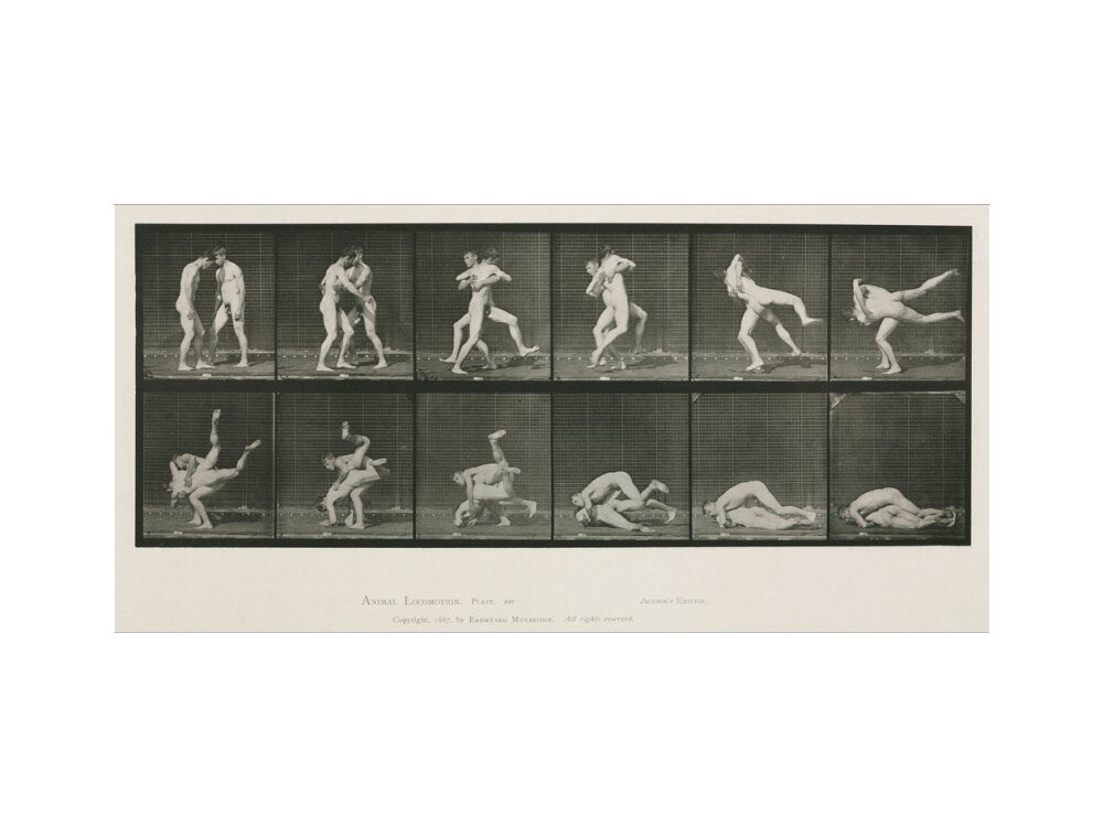Time-lapse photographs of two men wrestling, 1872-1885. art print extra large none Art Print - Science Museum Shop