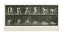 Time-lapse photographs of two men wrestling, 1872-1885. unstretched canvas extra large none Art Print - Science Museum Shop