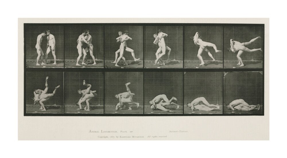 Time-lapse photographs of two men wrestling, 1872-1885. unstretched canvas extra large none Art Print - Science Museum Shop