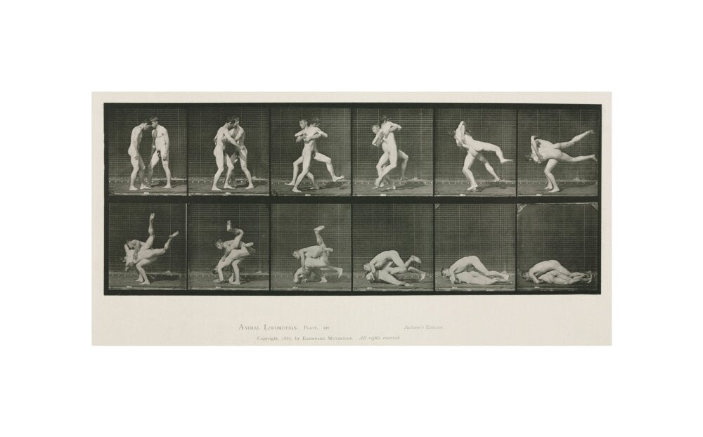 Time-lapse photographs of two men wrestling, 1872-1885. unstretched canvas small none Art Print - Science Museum Shop