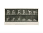 Time-lapse photographs of two men wrestling, 1872-1885. art print medium none Art Print - Science Museum Shop