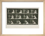 Time-lapse photographs of a woman and child, 1872-1885. art print extra small natural Art Print - Science Museum Shop