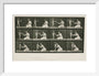 Time-lapse photographs of a woman and child, 1872-1885. art print small white Art Print - Science Museum Shop