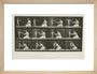 Time-lapse photographs of a woman and child, 1872-1885. art print small natural Art Print - Science Museum Shop