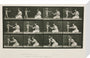 Time-lapse photographs of a woman and child, 1872-1885. stretched canvas medium none Art Print - Science Museum Shop