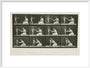 Time-lapse photographs of a woman and child, 1872-1885. art print large white Art Print - Science Museum Shop