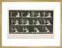 Time-lapse photographs of a woman and child, 1872-1885. art print large gold Art Print - Science Museum Shop
