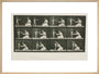 Time-lapse photographs of a woman and child, 1872-1885. art print large natural Art Print - Science Museum Shop