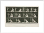Time-lapse photographs of a woman and child, 1872-1885. art print extra large white Art Print - Science Museum Shop