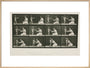 Time-lapse photographs of a woman and child, 1872-1885. art print extra large natural Art Print - Science Museum Shop