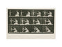 Time-lapse photographs of a woman and child, 1872-1885. art print extra large none Art Print - Science Museum Shop