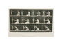 Time-lapse photographs of a woman and child, 1872-1885. unstretched canvas small none Art Print - Science Museum Shop
