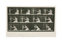 Time-lapse photographs of a woman and child, 1872-1885. unstretched canvas medium none Art Print - Science Museum Shop