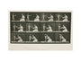 Time-lapse photographs of a woman and child, 1872-1885. art print large none Art Print - Science Museum Shop