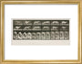 Time-lapse photographs of a greyhound running, 1872-1885. art print small gold Art Print - Science Museum Shop