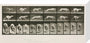 Time-lapse photographs of a greyhound running, 1872-1885. stretched canvas medium none Art Print - Science Museum Shop