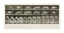 Time-lapse photographs of a greyhound running, 1872-1885. unstretched canvas extra large none Art Print - Science Museum Shop