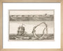 'The great Sea Serpent, according to different Descriptions', 1755. art print extra small natural Art Print - Science Museum Shop