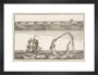 'The great Sea Serpent, according to different Descriptions', 1755. art print small black Art Print - Science Museum Shop