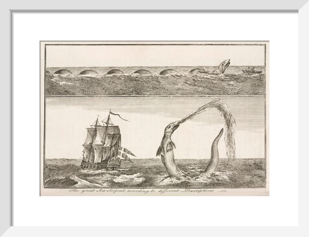 'The great Sea Serpent, according to different Descriptions', 1755. art print small white Art Print - Science Museum Shop